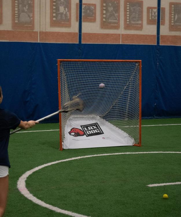 dog lacrosse ball