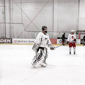 Drosey24