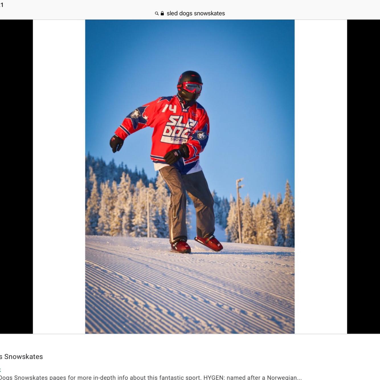 New Ice Skates For Snow Sled Dogs Snowskates Ladies Lunde Size 7 SidelineSwap