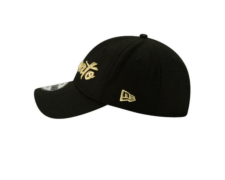 raptors dad cap