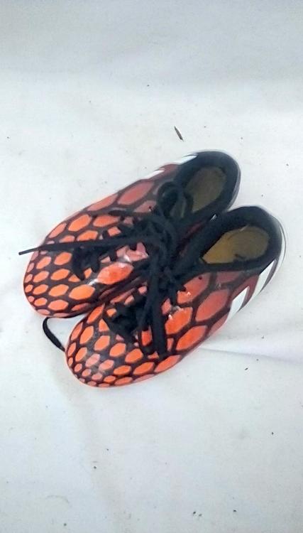adidas predito instinct