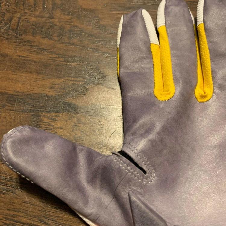 Michigan jordan gloves Clearance