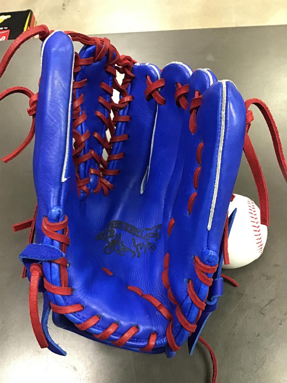 Rolin XPT Best of The Bull Custom 12” Baseball Glove SidelineSwap