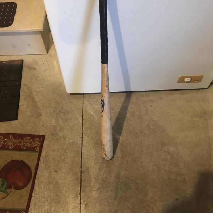 Louisville Slugger Meta Bat Banned Literacy Basics