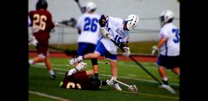 Westies19