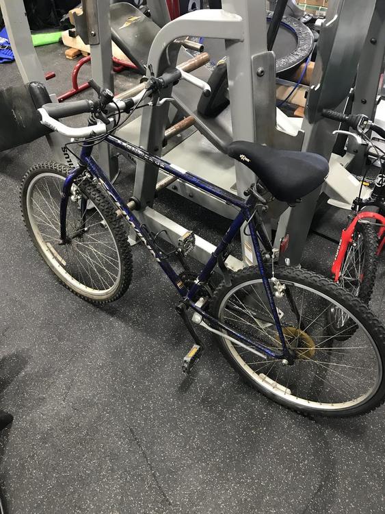 schwinn frontier gs