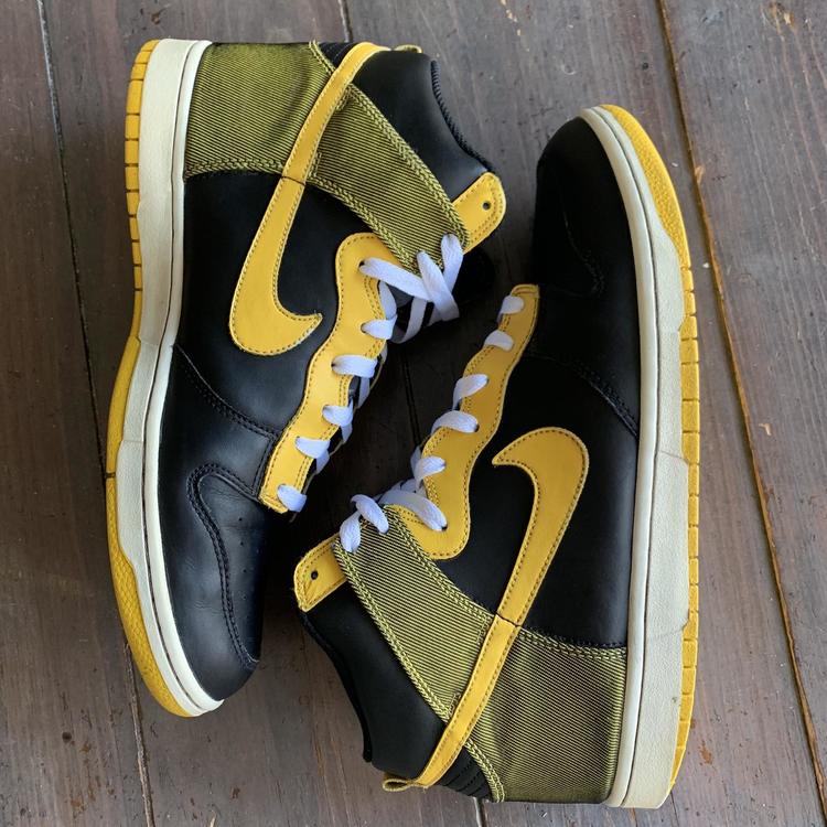 nike dunk high north