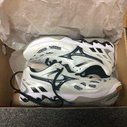 mizuno wave spike 10