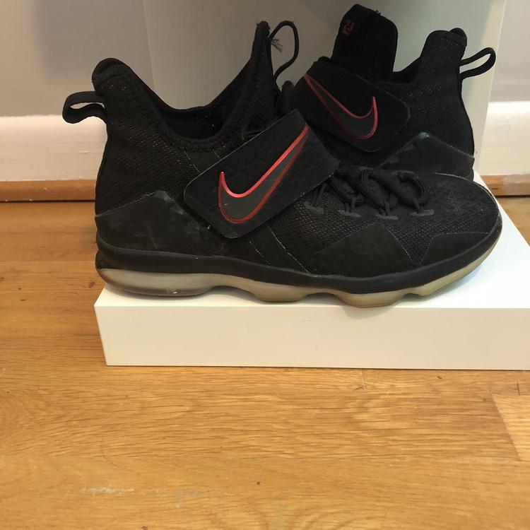 lebron size shoe