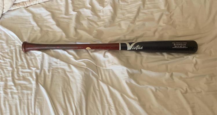 Download Custom Victus Wood Bats PNG