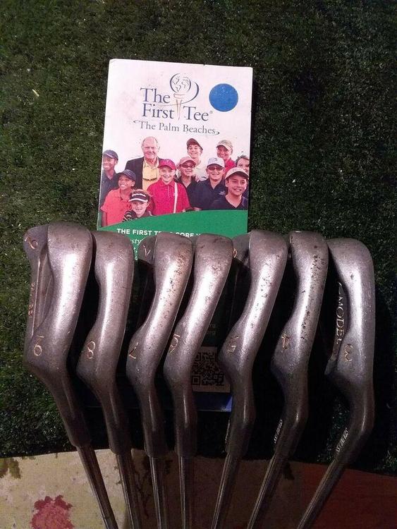 ZModel Pro Pride Black Dot Irons set (39 Irons) Stiff Steel shafts