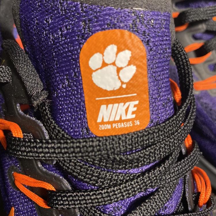 clemson pegasus 36
