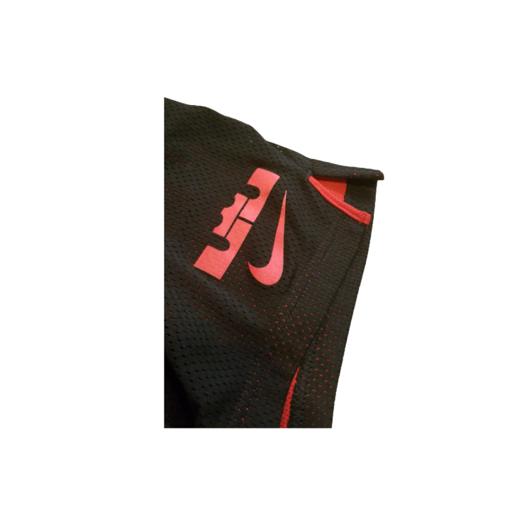 lebron nike shorts