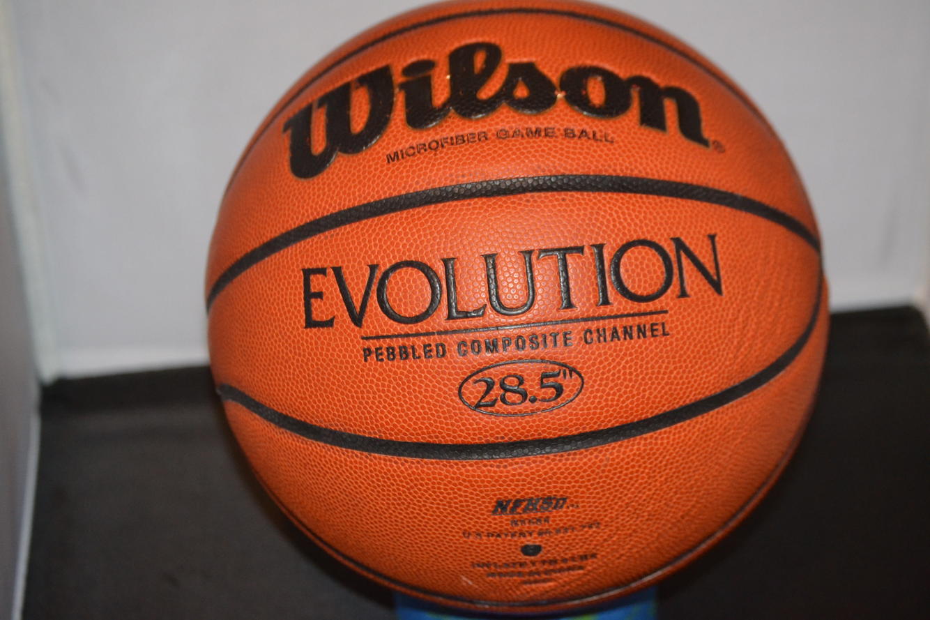 Wilson Evolution Intermediate Basketball 28.5