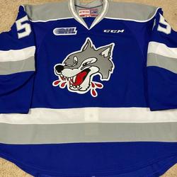 quinton byfield jersey