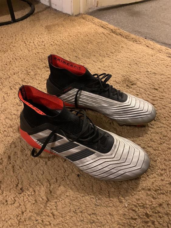 silver predators