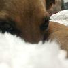 mnmance