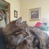 cuki