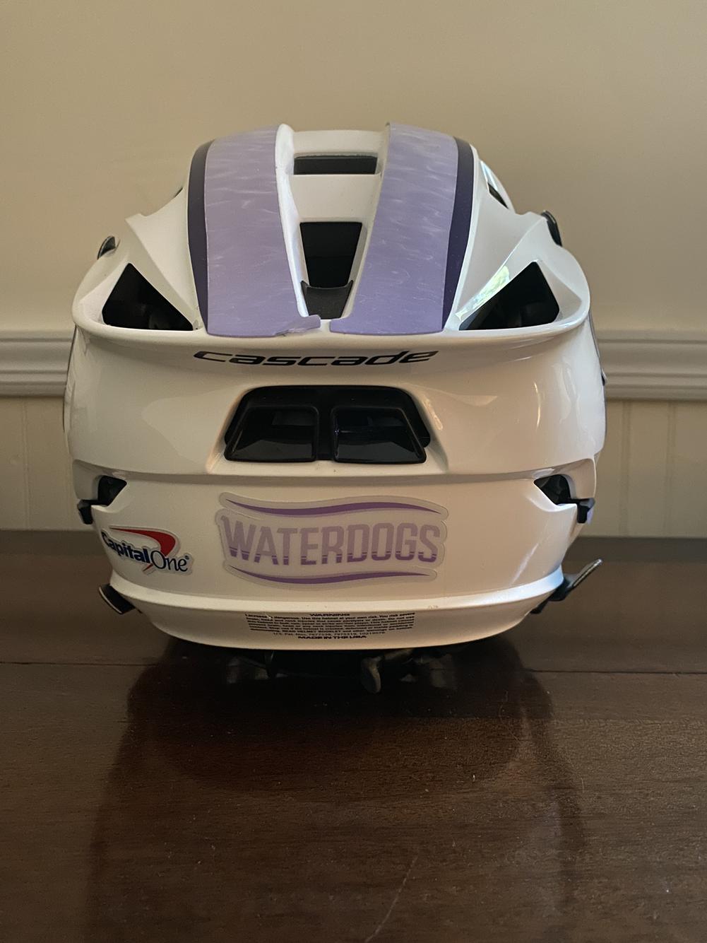 PLL Waterdogs Helmet SidelineSwap