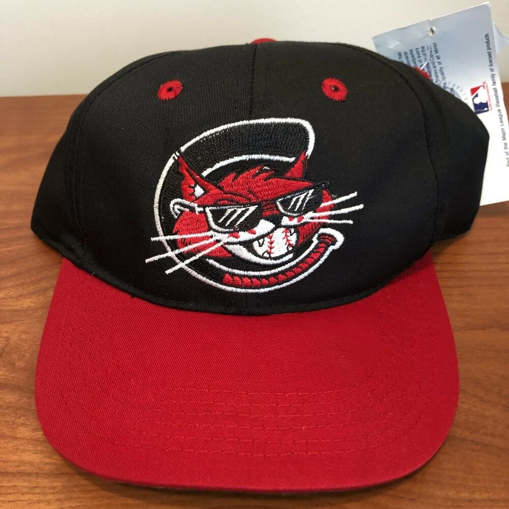 Charleston Alley Cats Hat Baseball Cap BOYS YOUTH Minor League Baseball