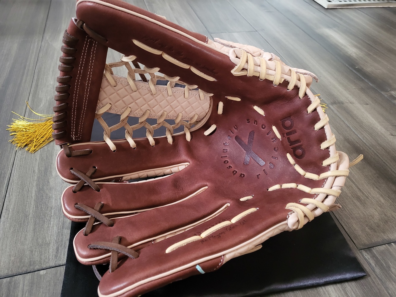 ARIA Ice Cream Glove 13" SidelineSwap