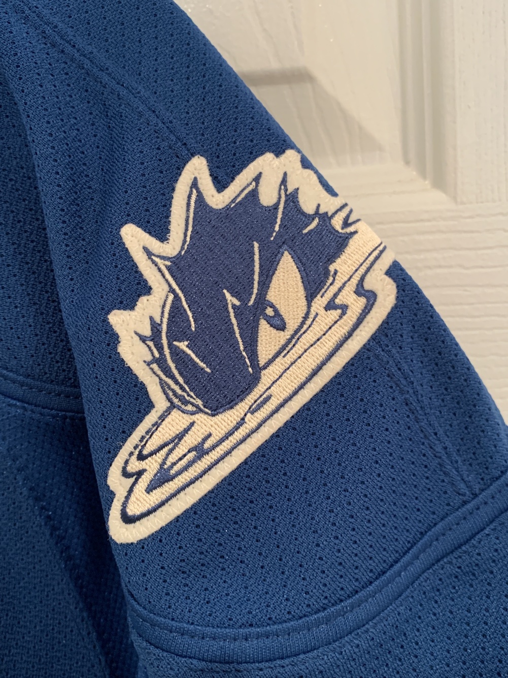 Lake Erie/Cleveland Monsters Frozen Frontier Pro Stock Jersey