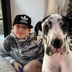 Dslittleguy22