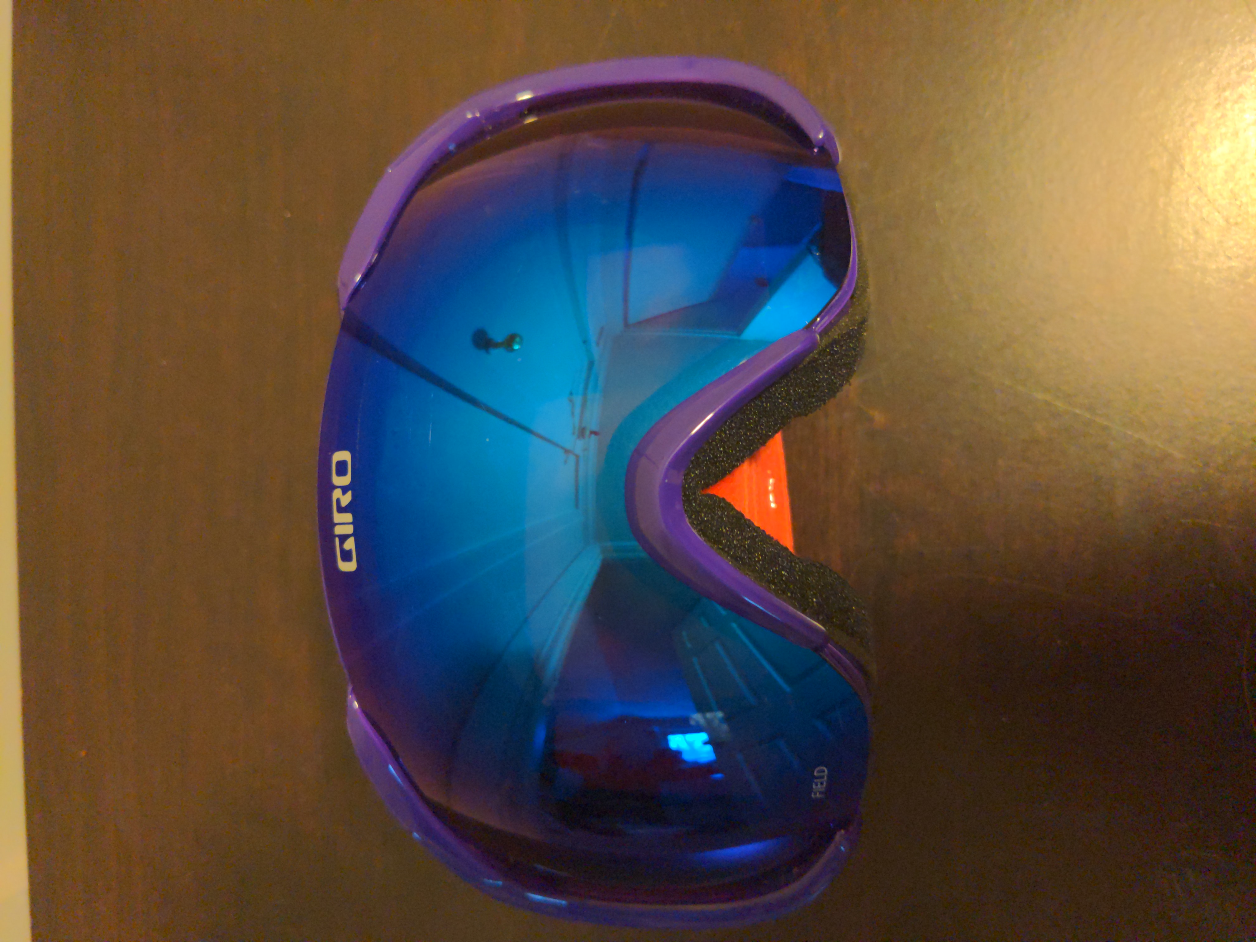 Giro Field Ski Goggles SidelineSwap