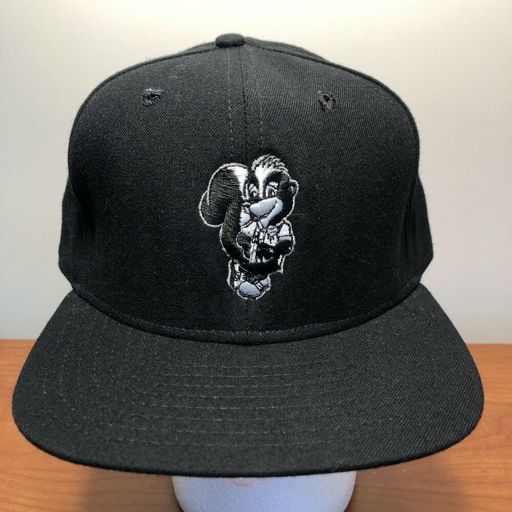 Albany Polecats Hat Baseball Cap Snapback New Era MiLB Minors Vintage