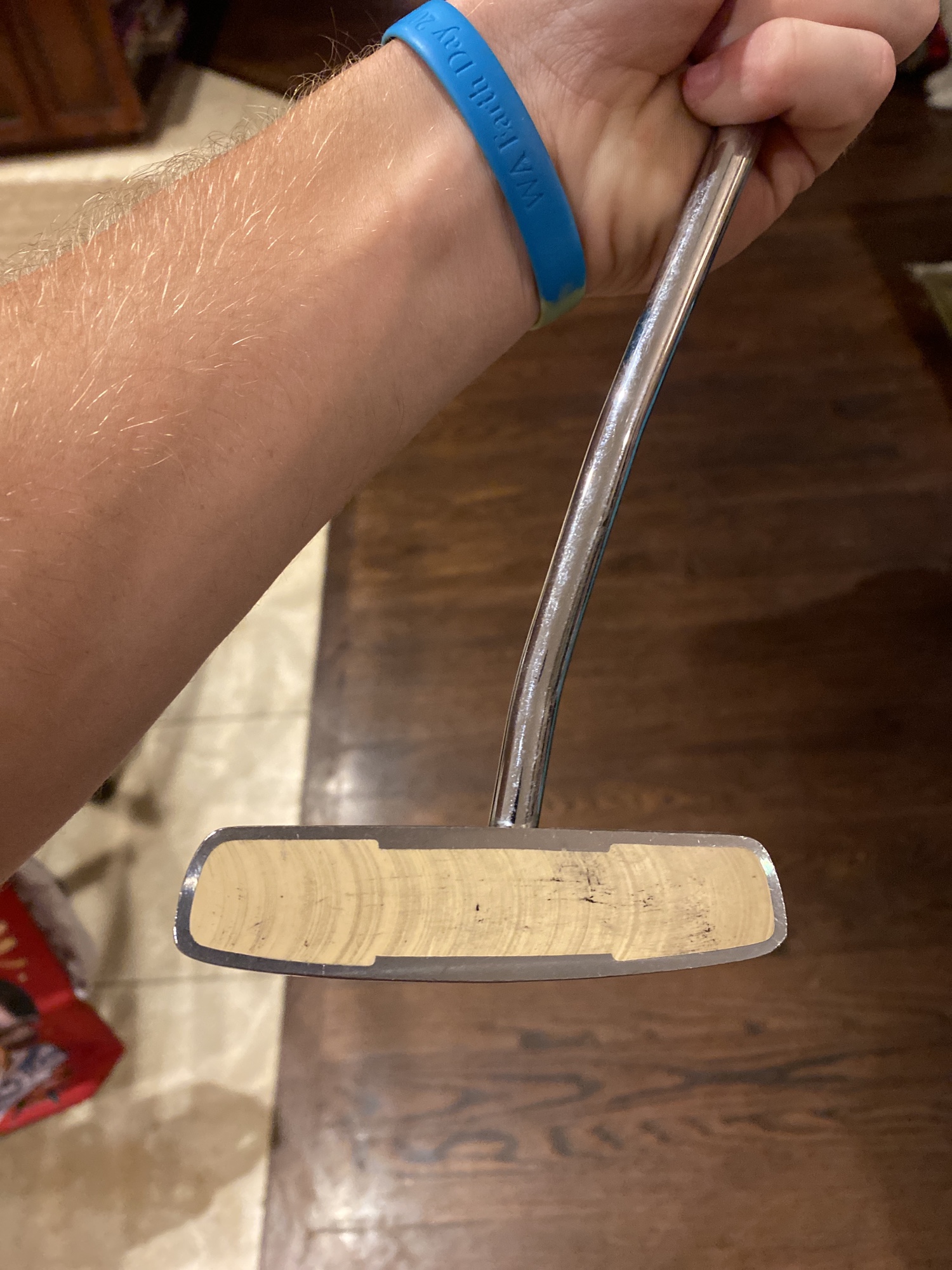 “Hammy” Brand Putter SidelineSwap