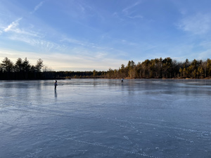 HockeyDad8797