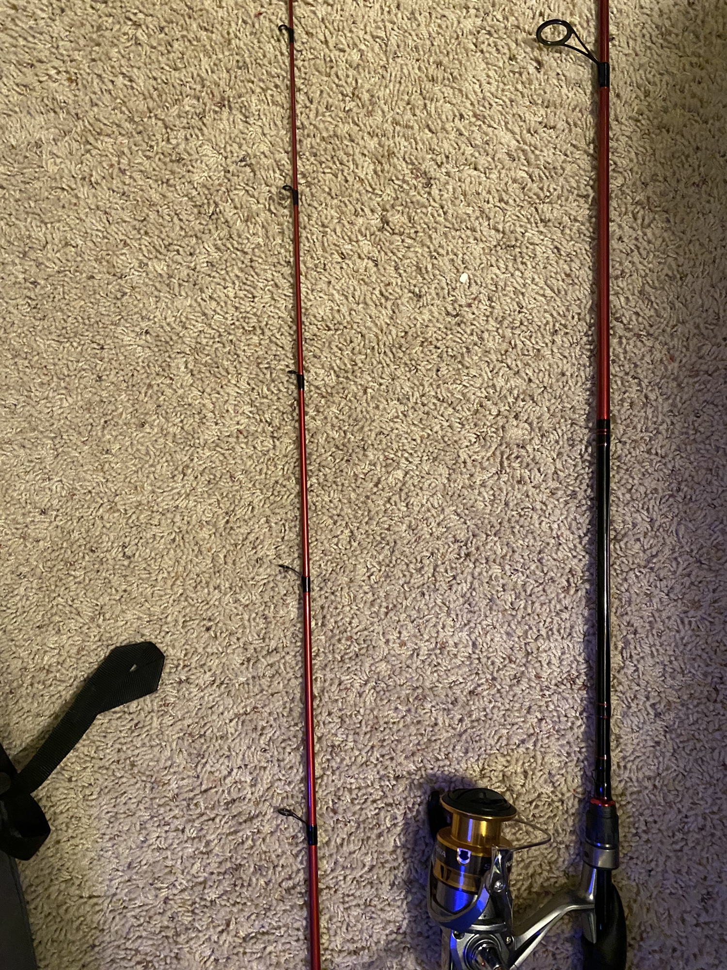 Shimano Sedona Bass pro shops XPS Bionic blade spinning rod and reel