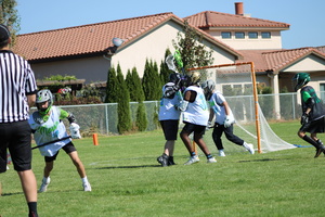 Rapidlax