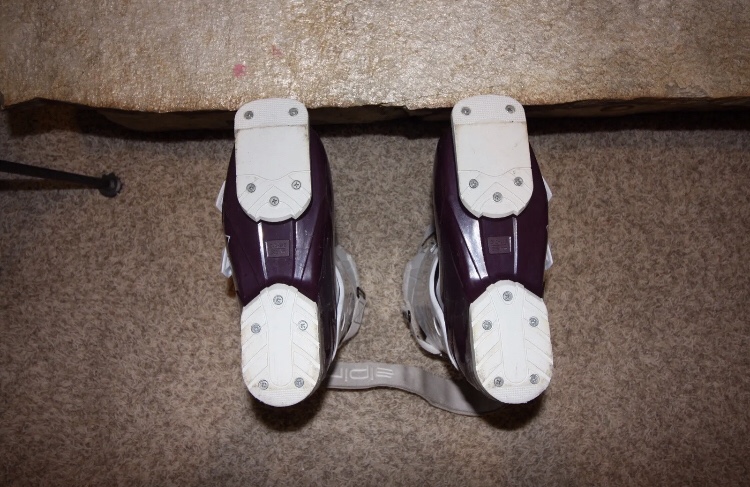 Alpina intemp Clearance