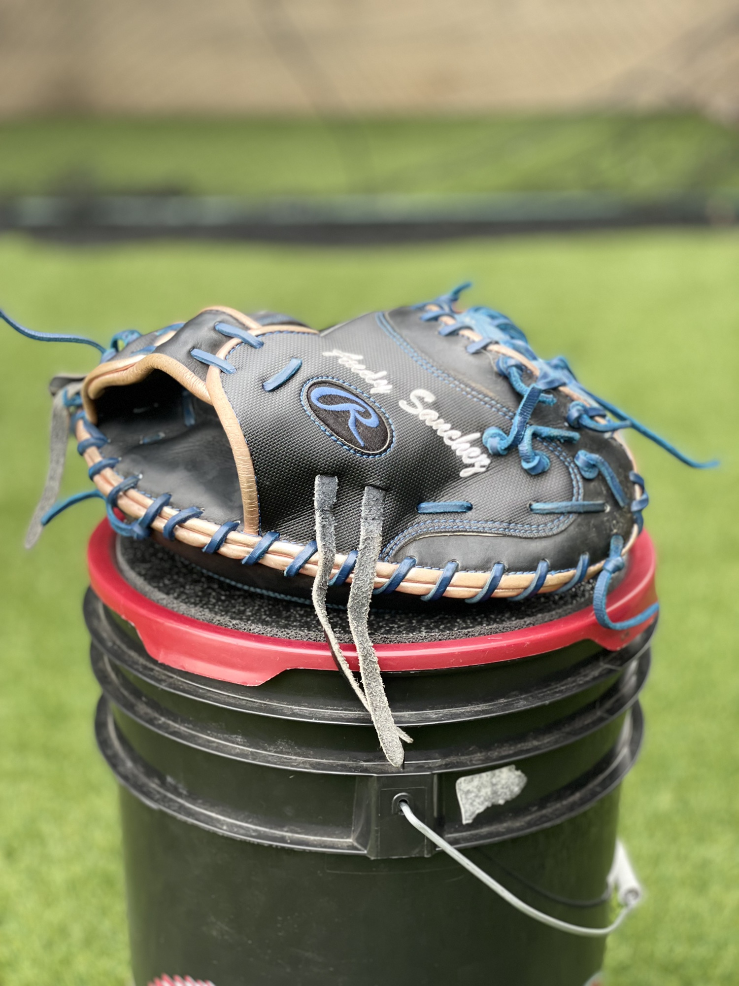 Custom Rawlings catchers glove SidelineSwap