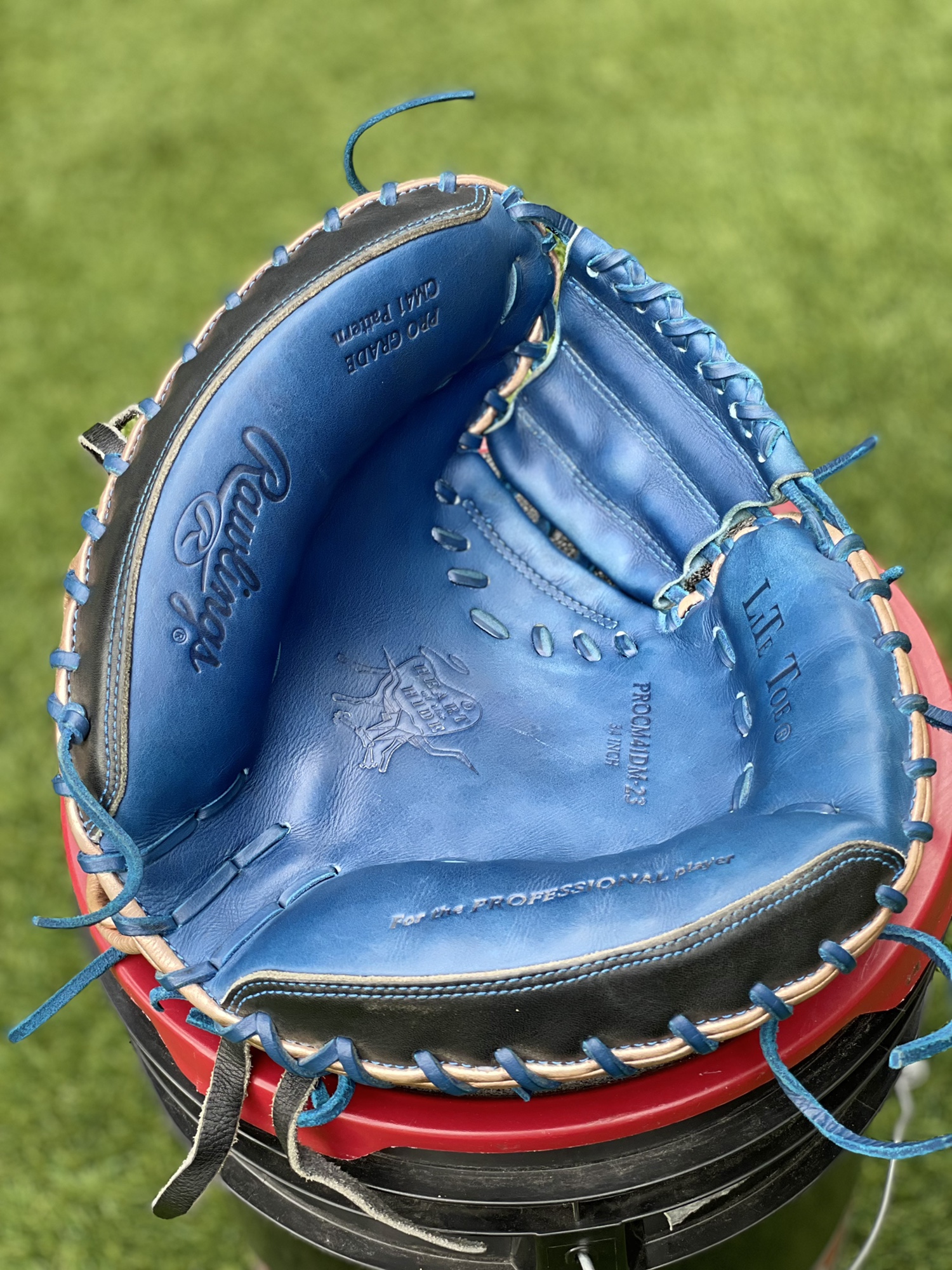 Custom Rawlings catchers glove SidelineSwap