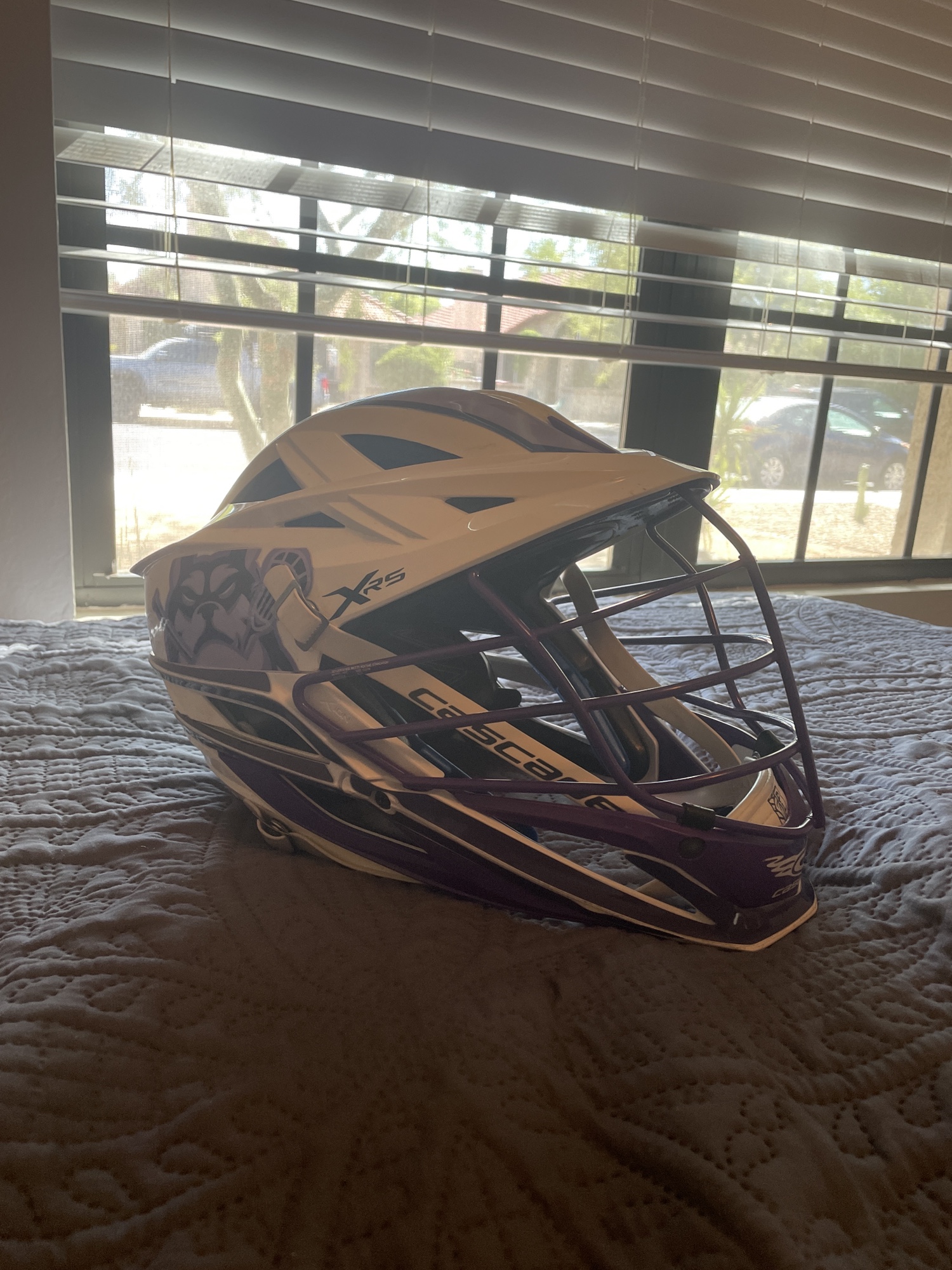 PLL CHAMPS WATERDOGS XRS HELMET *BRAND NEW* SidelineSwap