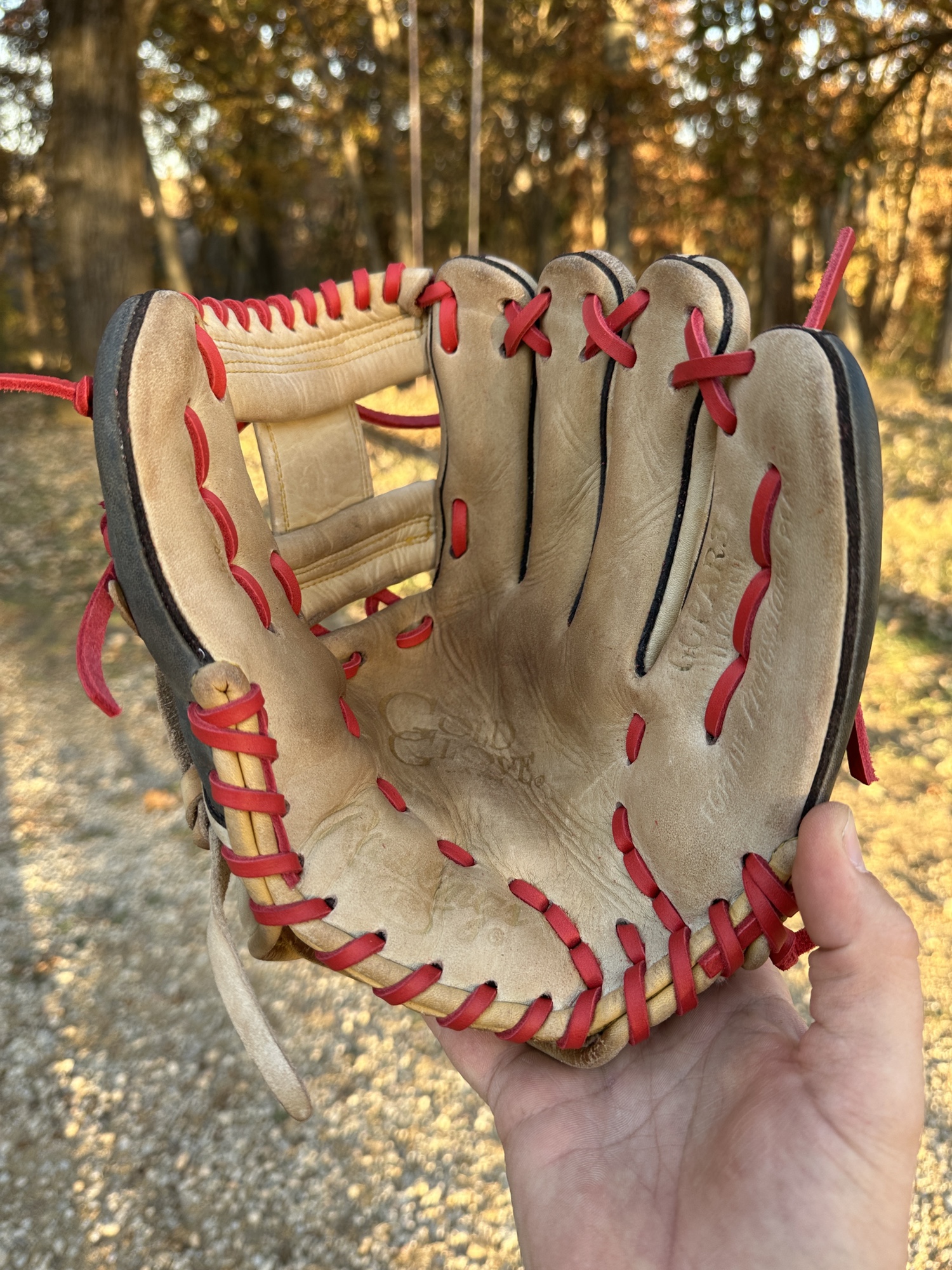 Used Infield 11.5" Gold Glove Baseball Glove SidelineSwap