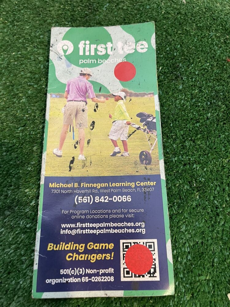 Warrior Custom Golf TE Hybrids Set (5H & 6H) Tour 3.1 Graphite Shafts