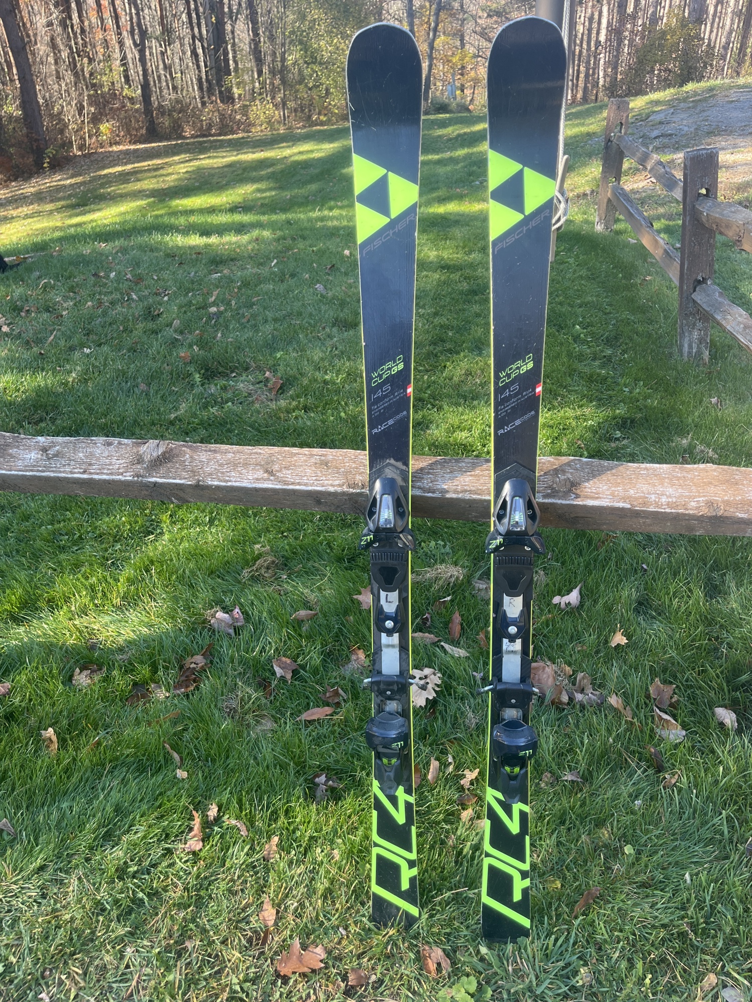 RC4 World Cup GS Skis145cm SidelineSwap