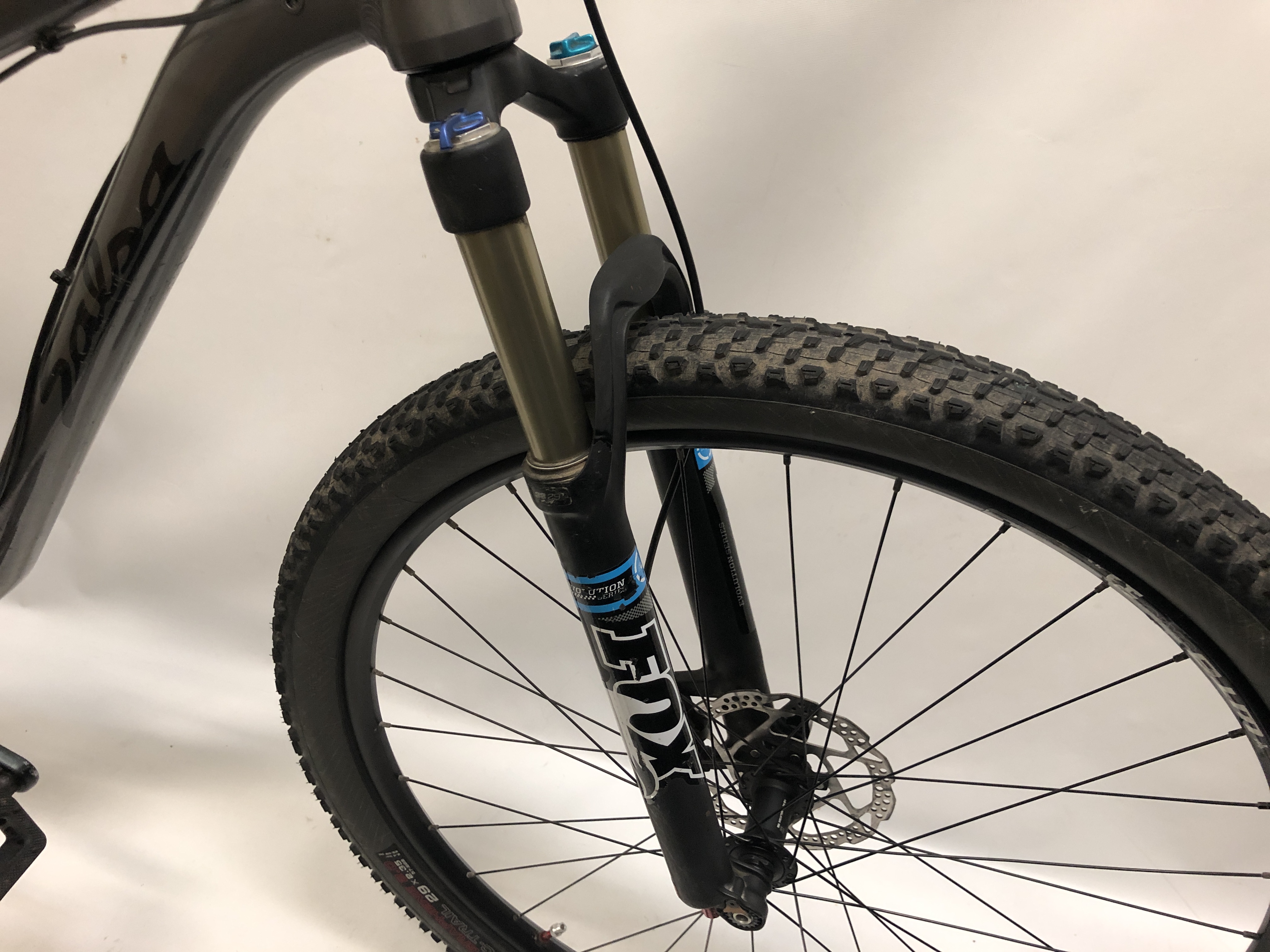 salsa spearfish frame