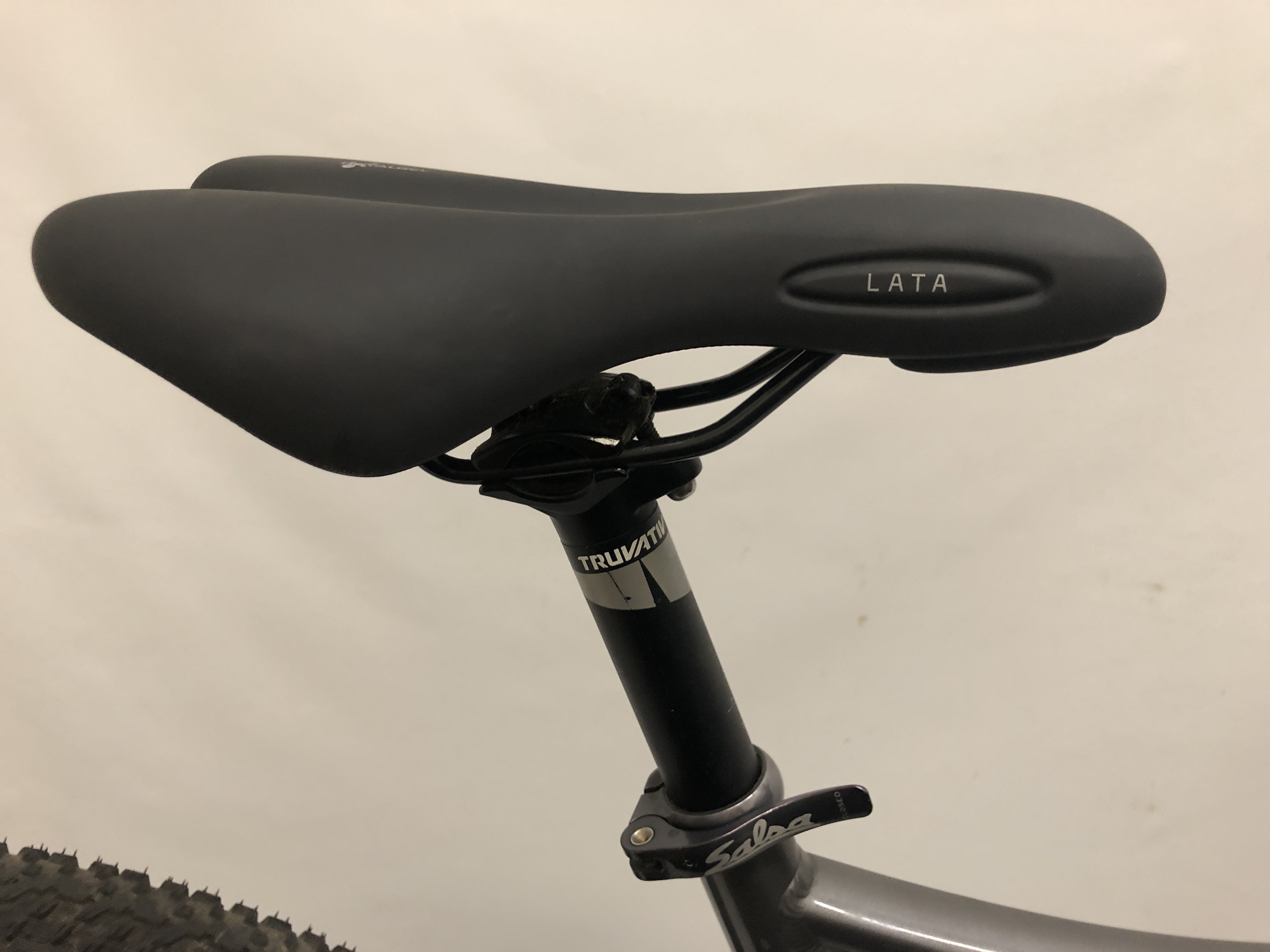 salsa spearfish frame