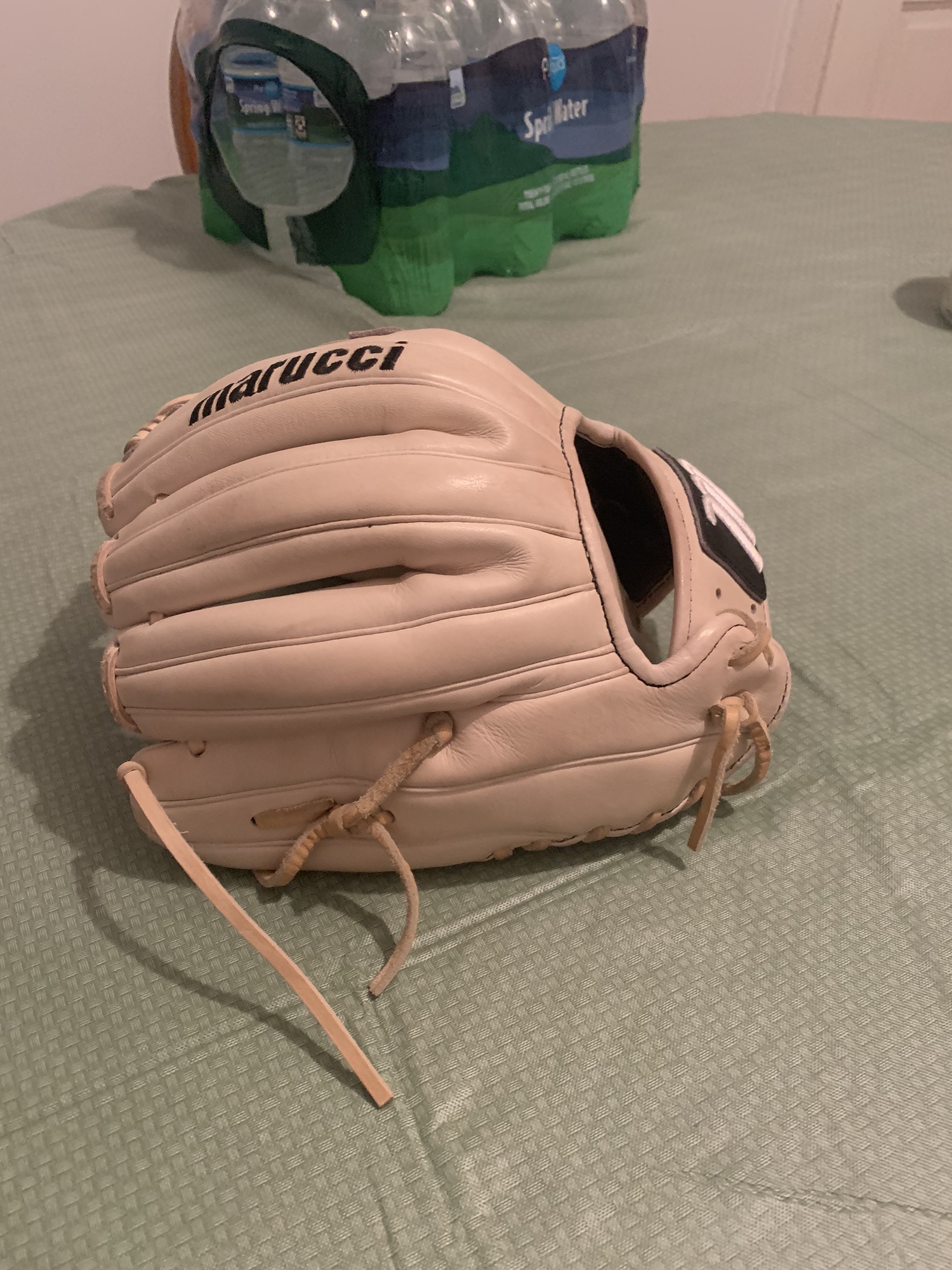 College Issued Capitol Series 11.75 Baseball Glove SidelineSwap