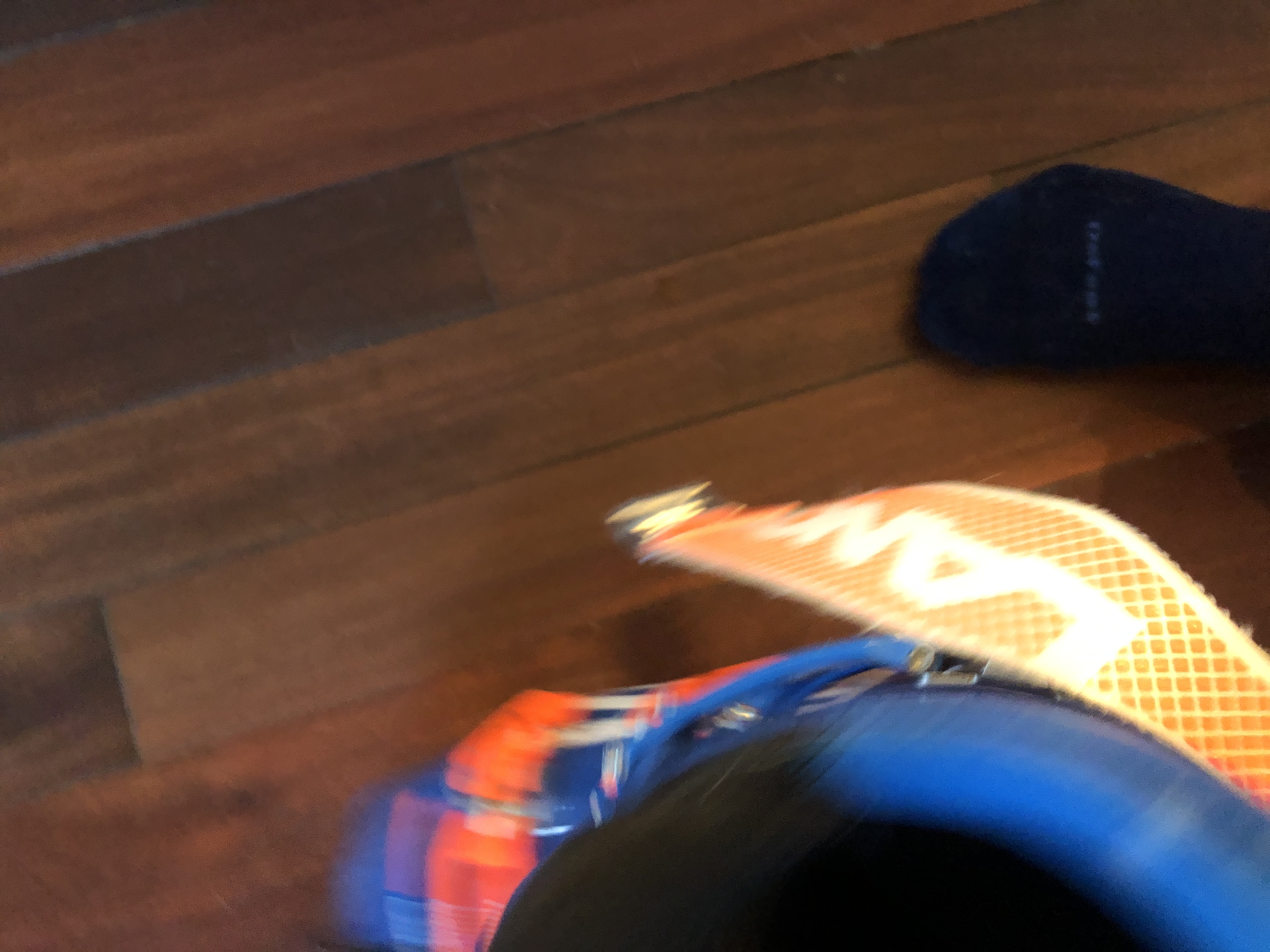 Lange World Cup ZA Ski Boots | SidelineSwap