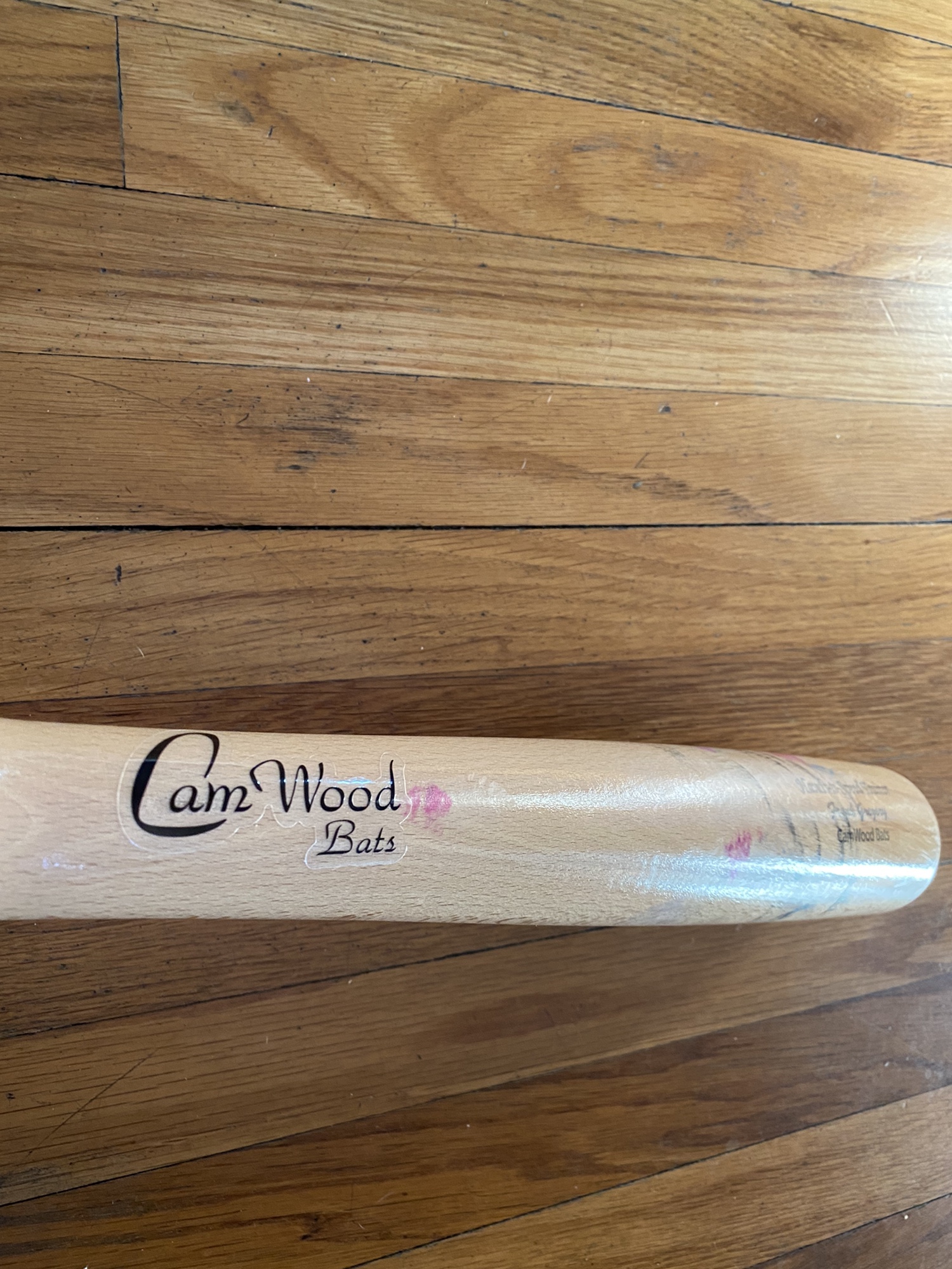 Camwood Bat Training Program - rv4xo1o