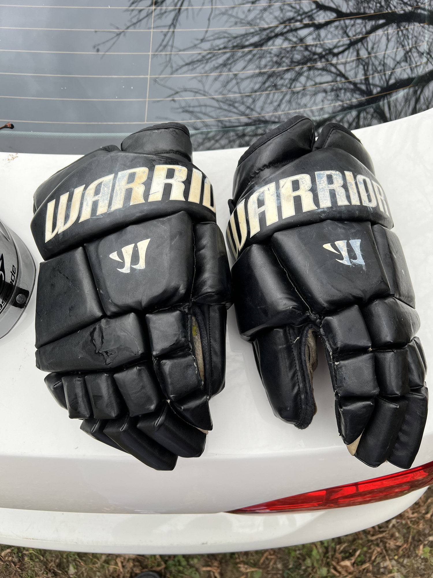 Warrior Box Goalie Gloves SidelineSwap