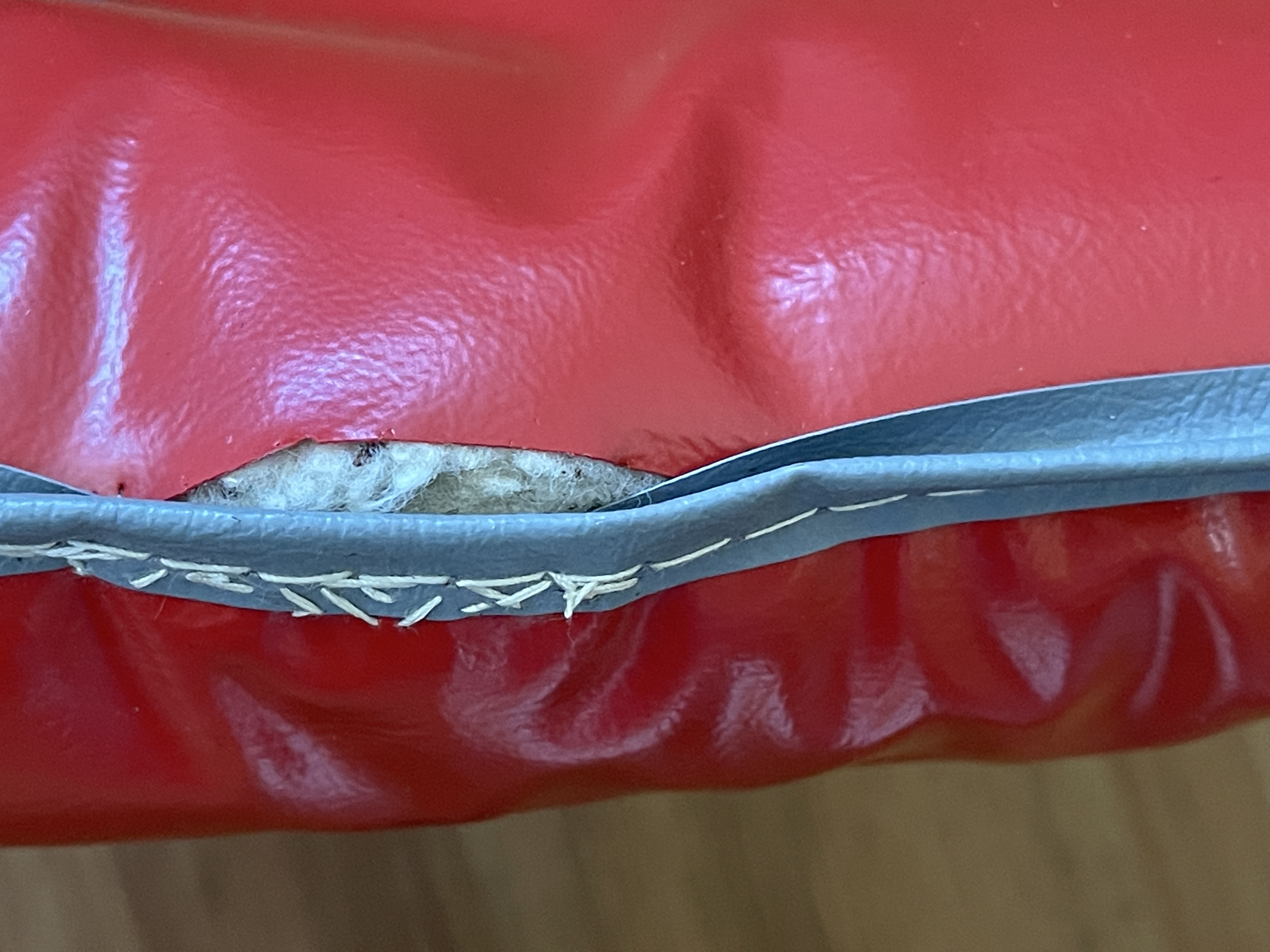 Ohio State Buckeyes NCAA SUPER VINTAGE CARMEN OHIO Fan Cave Stadium