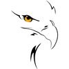 eagle9020
