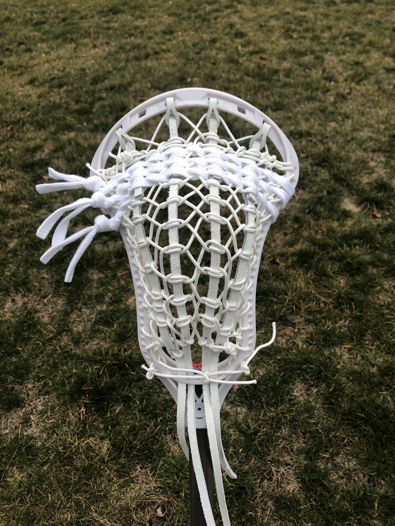New Traditional Box Lacrosse Head SidelineSwap