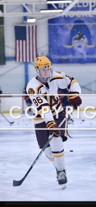 LoyAcadPuck86